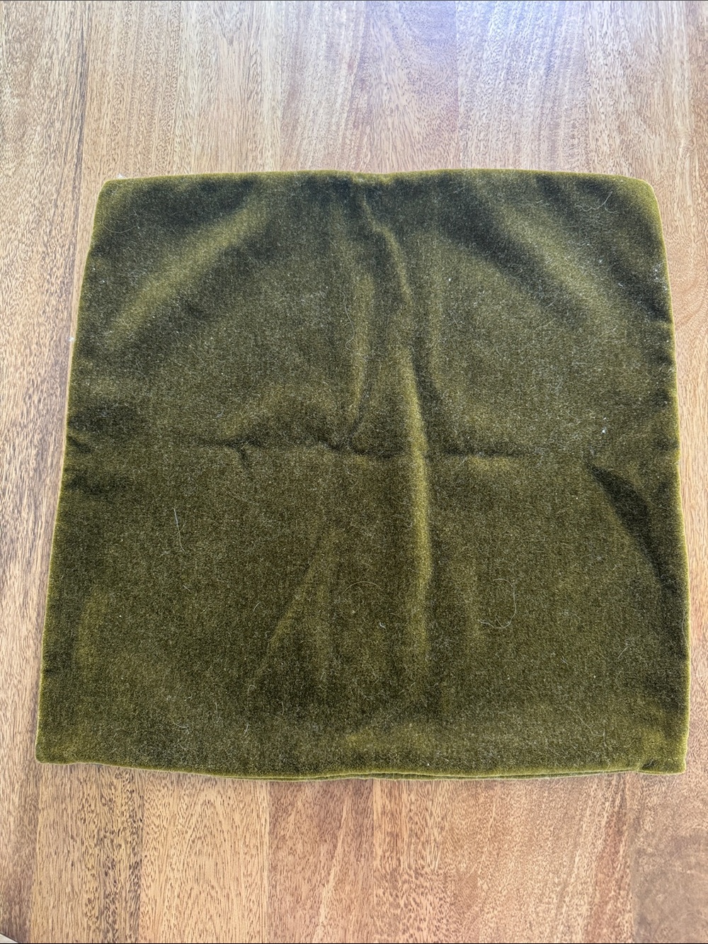 Olive Green Velvet Square Pouch